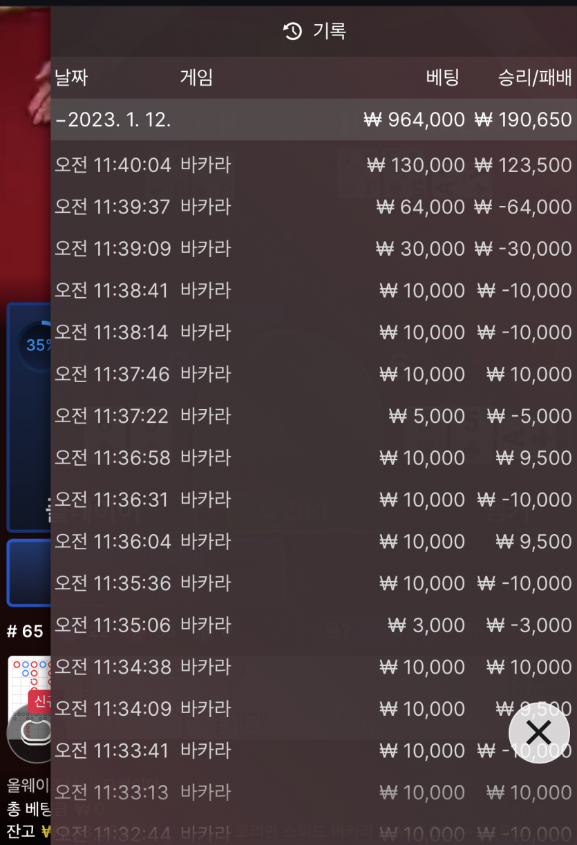 뱃위즈 에볼 마틴 후기(0)