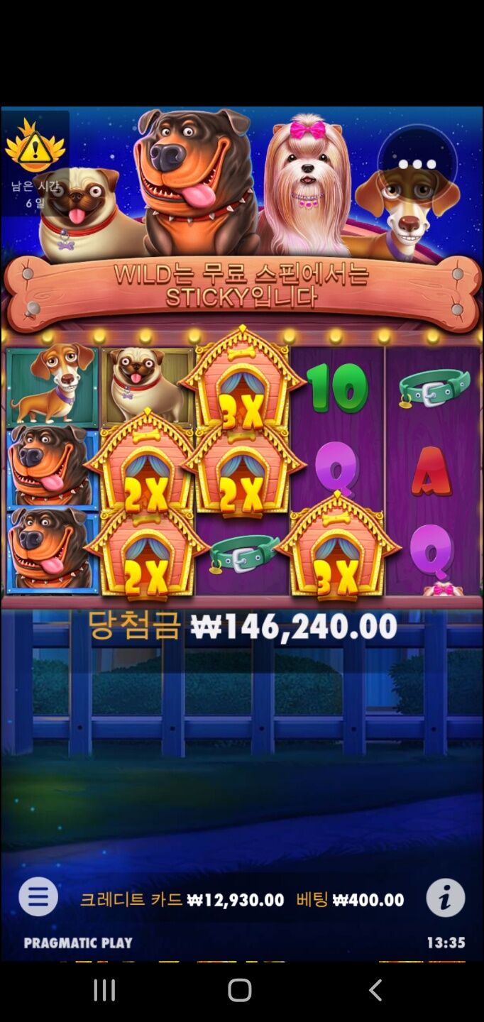 개집 믿고있었다고!!!!!(0)
