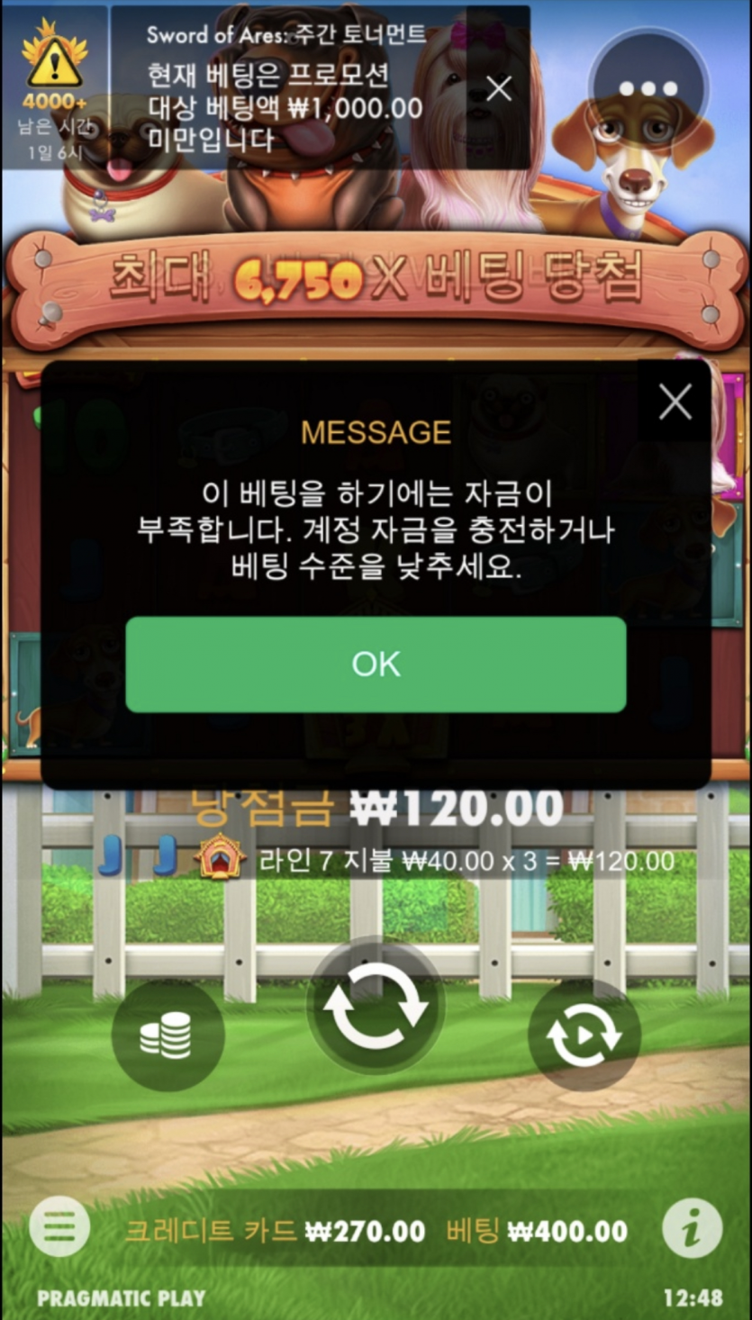 참나....(1)