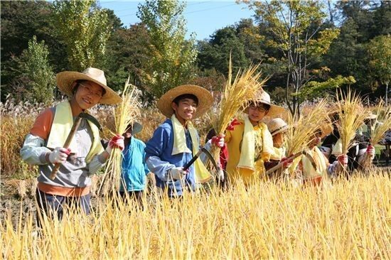 에볼후기(0)