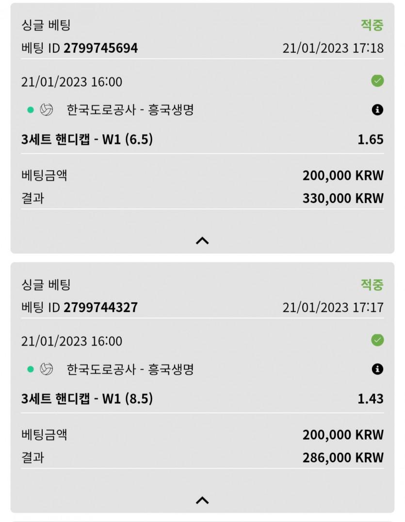 뱃위즈후기(4)