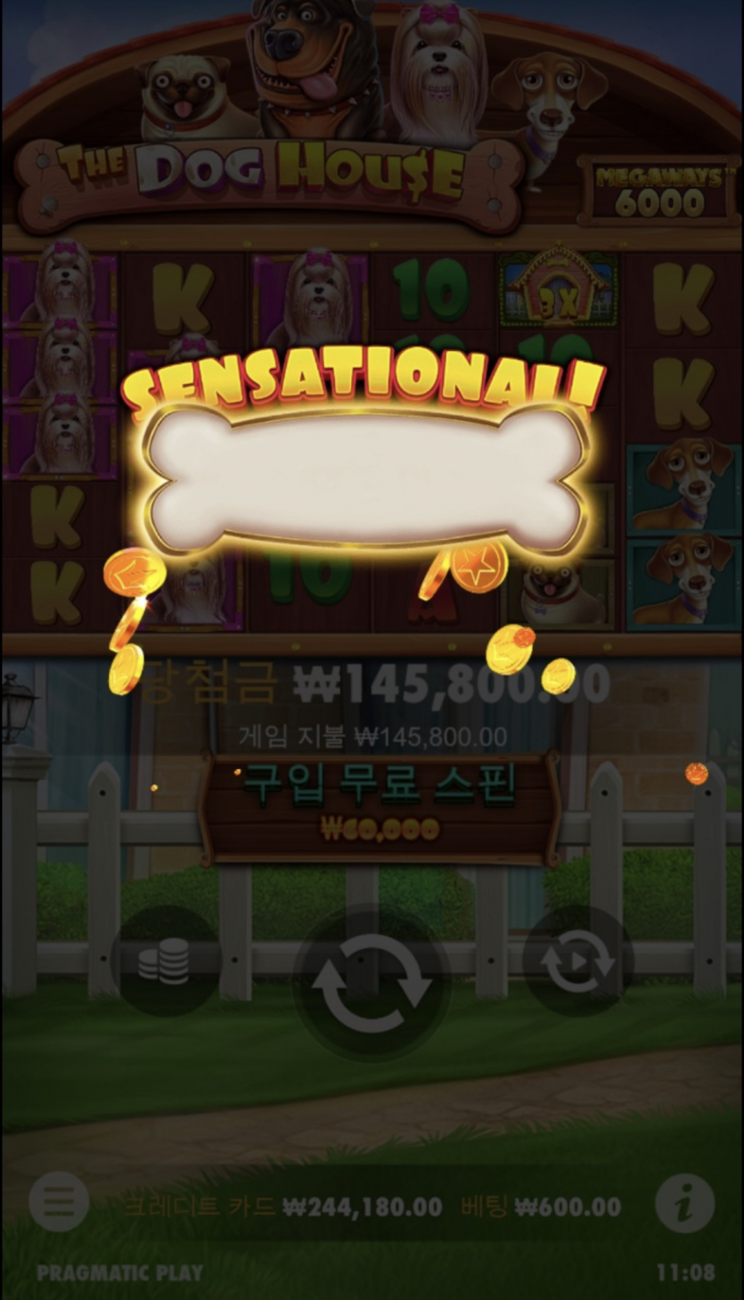 개집후기!(0)