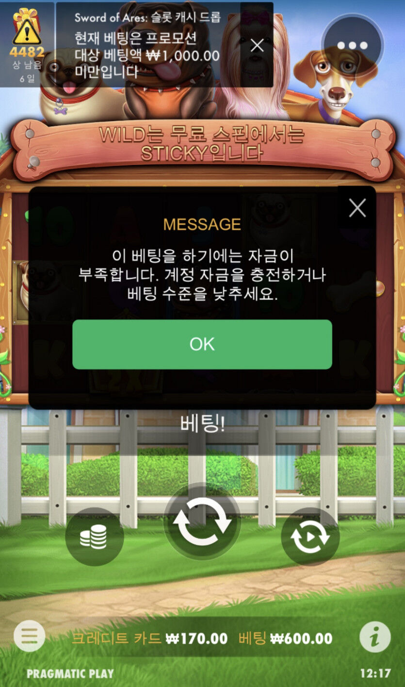 개집후기(0)