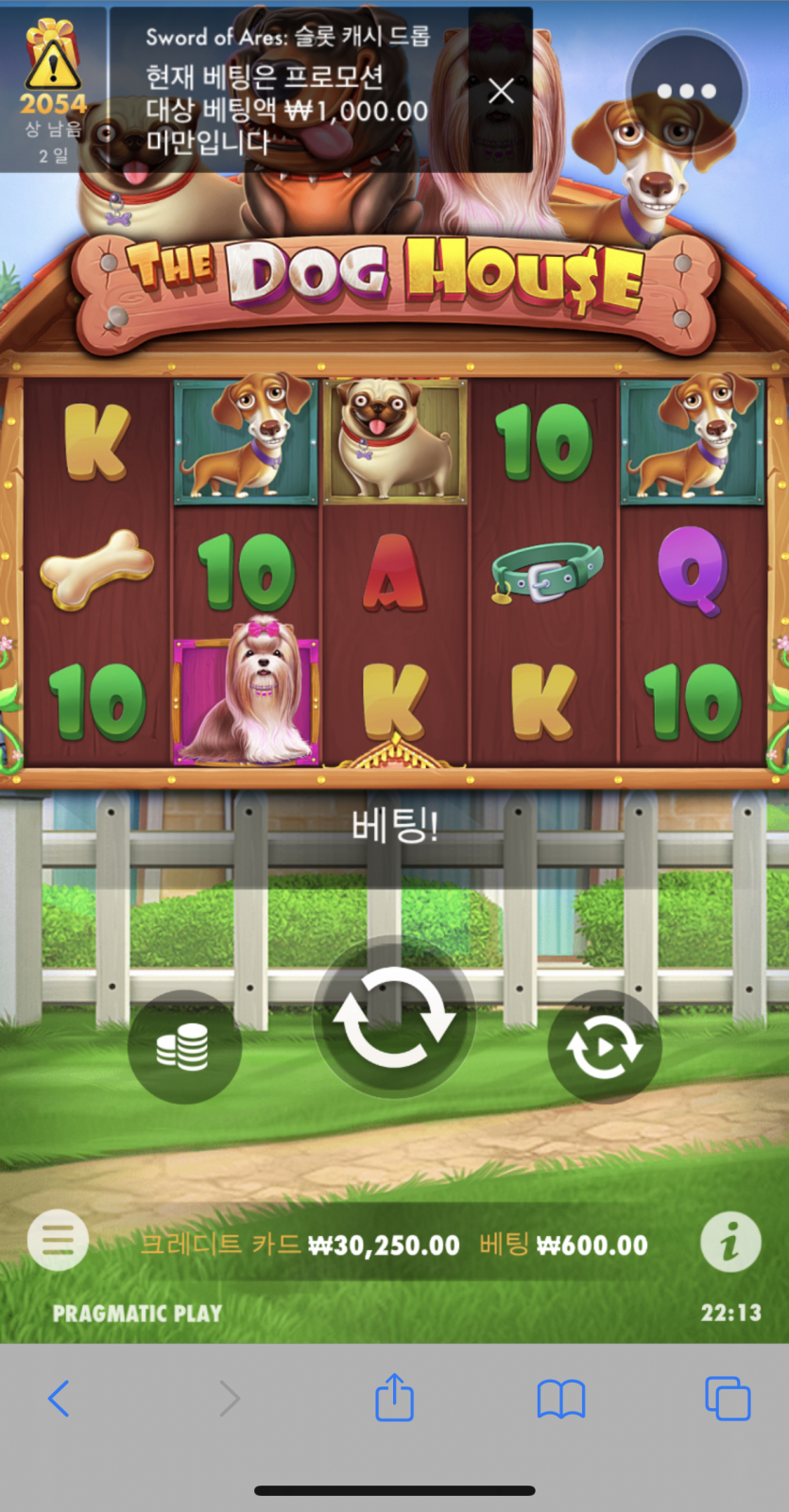 개집...너 또 맞아봐라..(1)