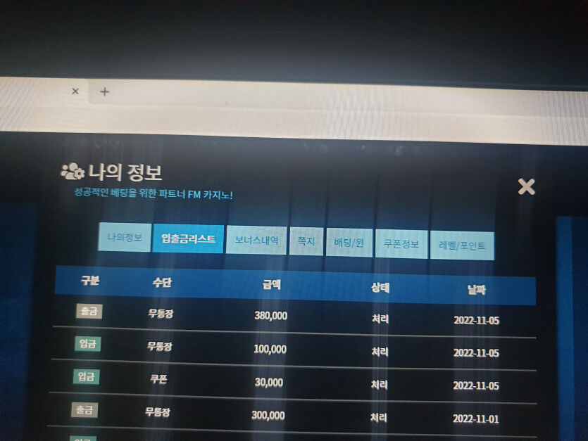 FM슬롯후기(0)