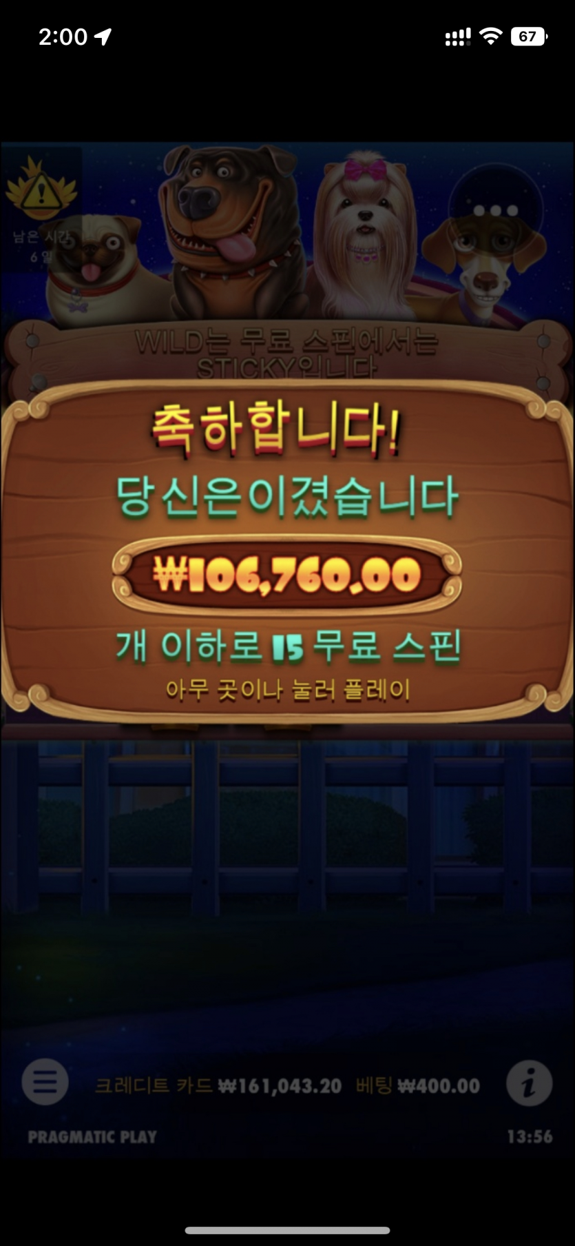 개집잘된다...(0)