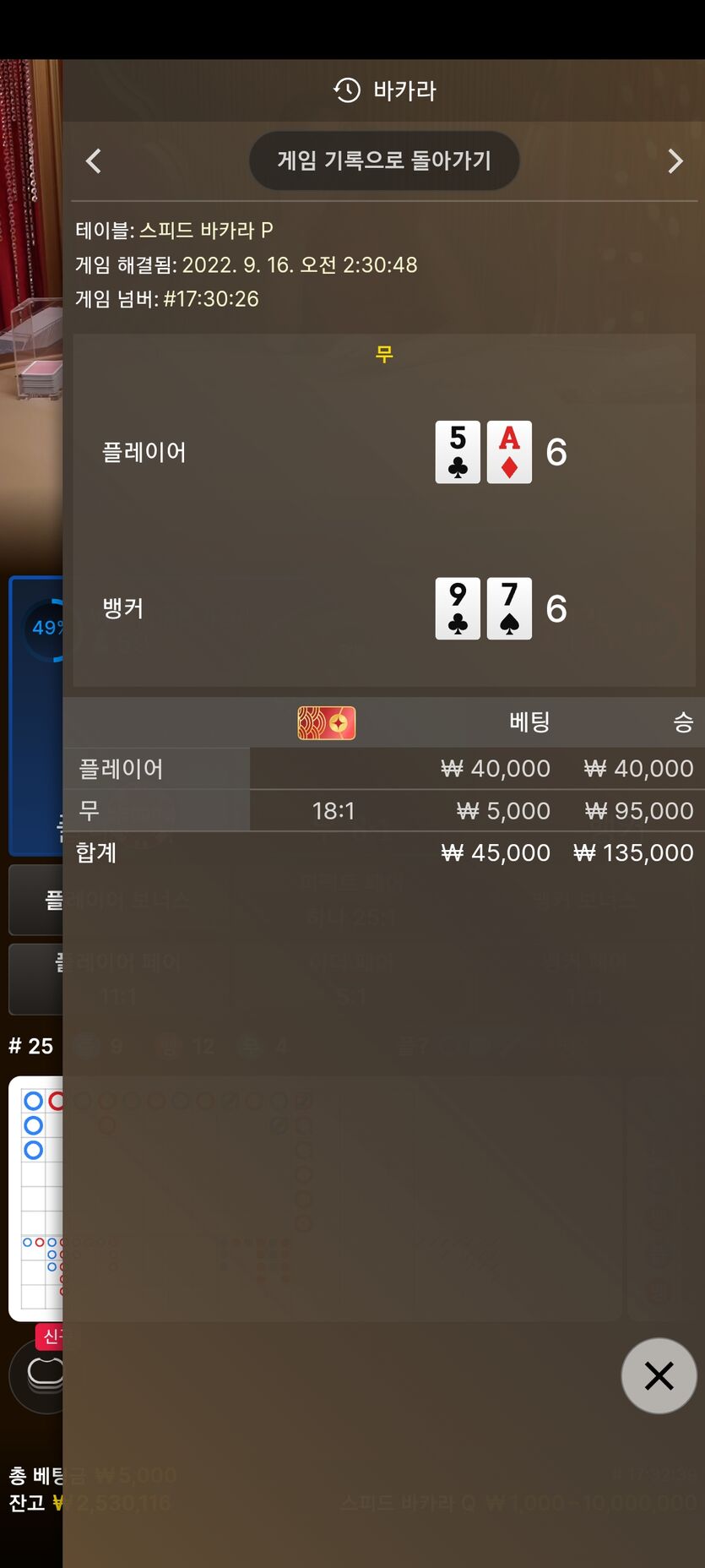 벳위즈후기(0)