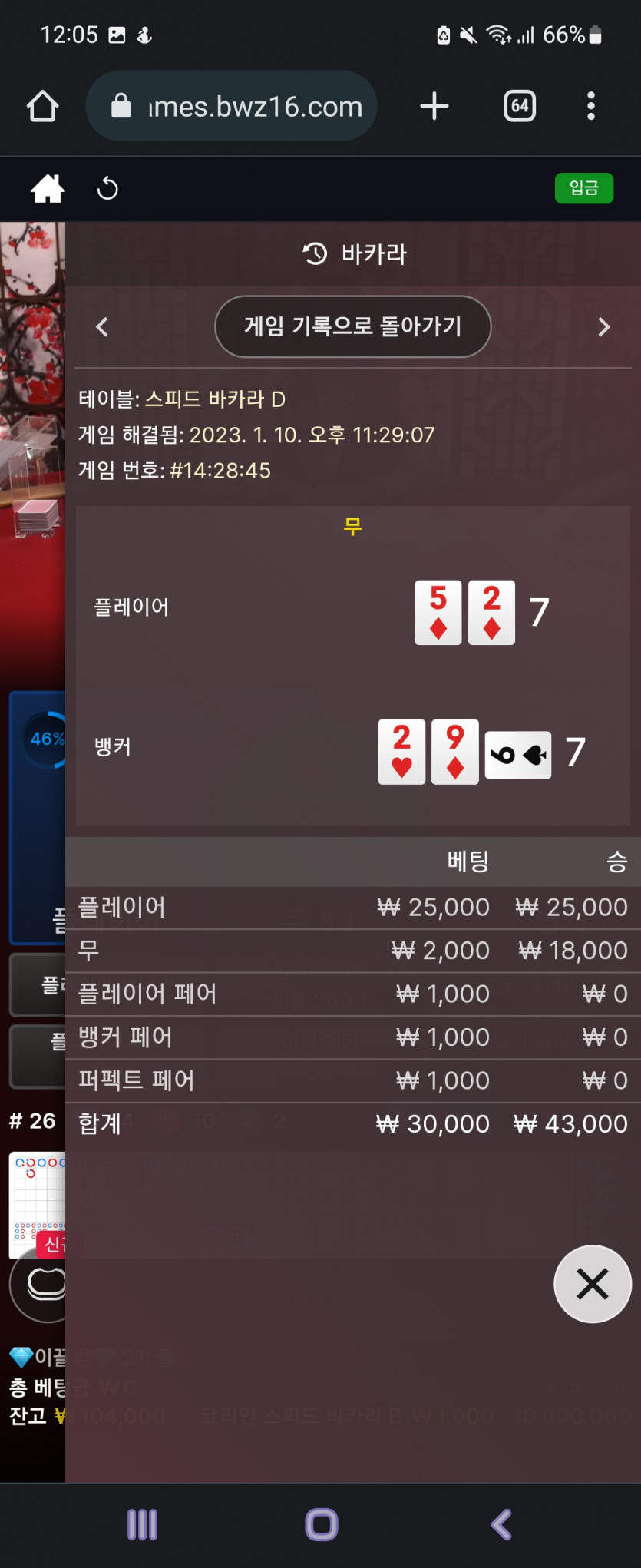 벳위즈 에볼 후기(1)