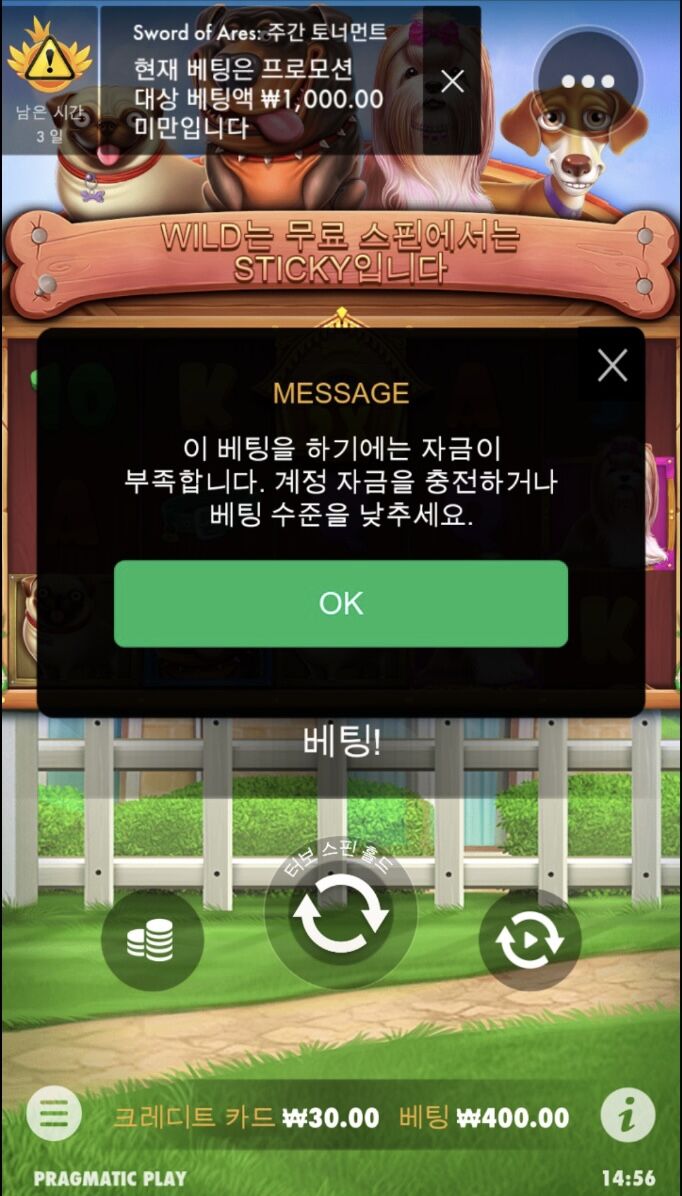 홈카 개집 후기....(0)