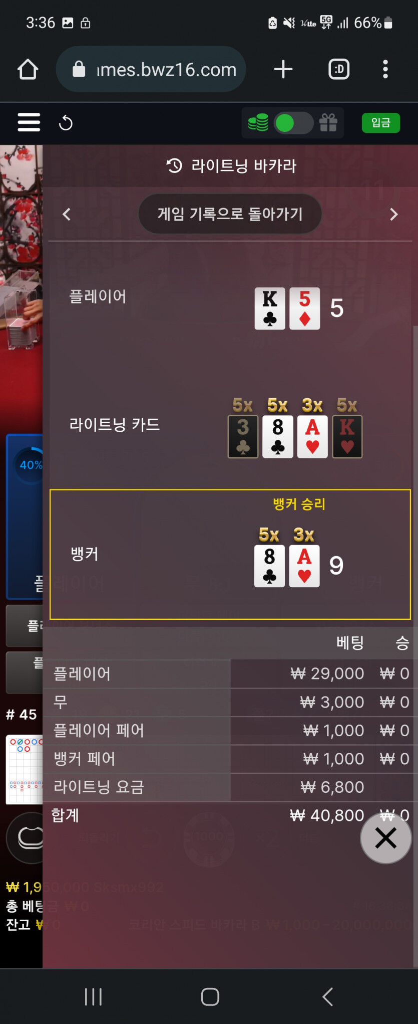 에볼후기..ㅠㅠ(0)