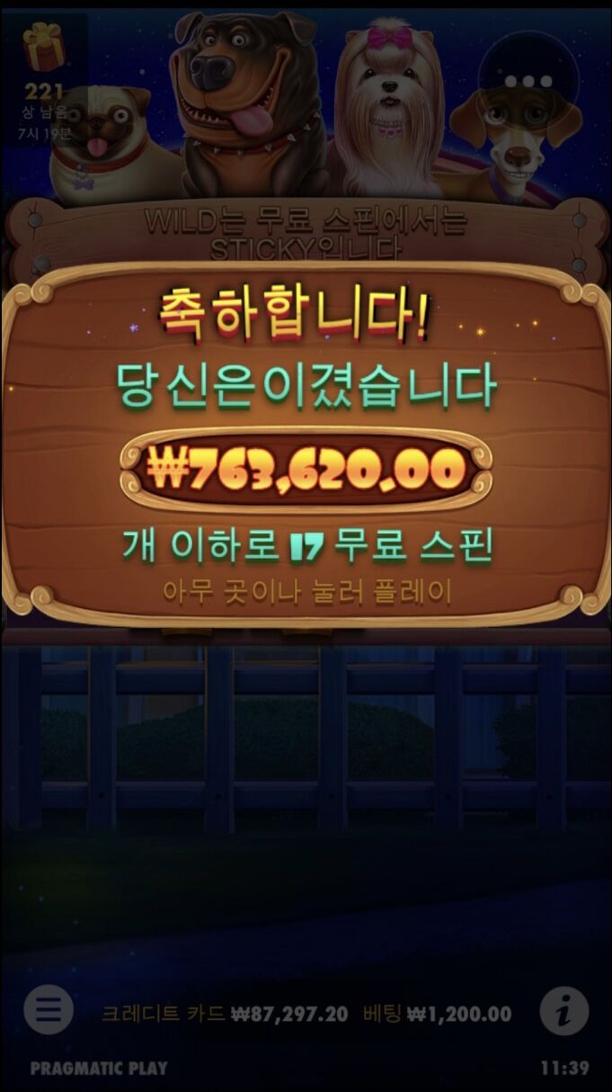 우와.......개집드디어.....(0)