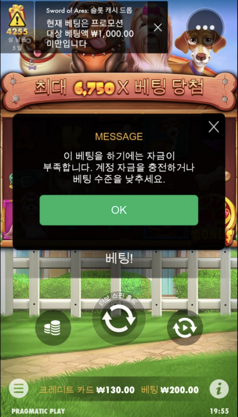 개집후기 ~~~(0)