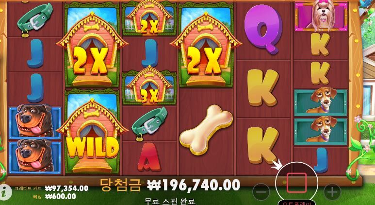 새축보면서 개집 패버리기 1차(0)