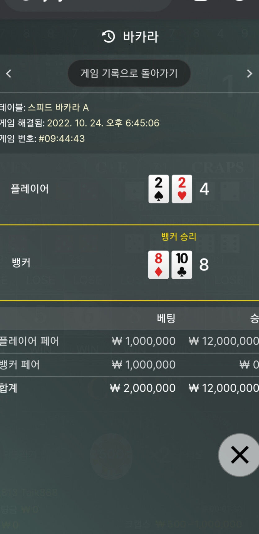 벳위즈 후기(0)