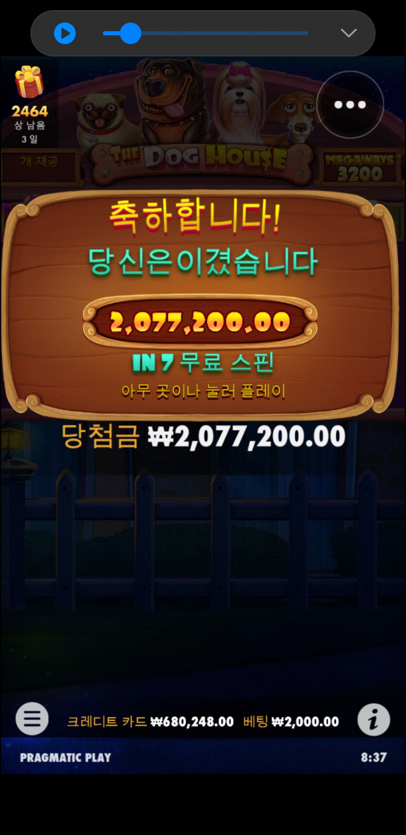 모닝 개집(0)
