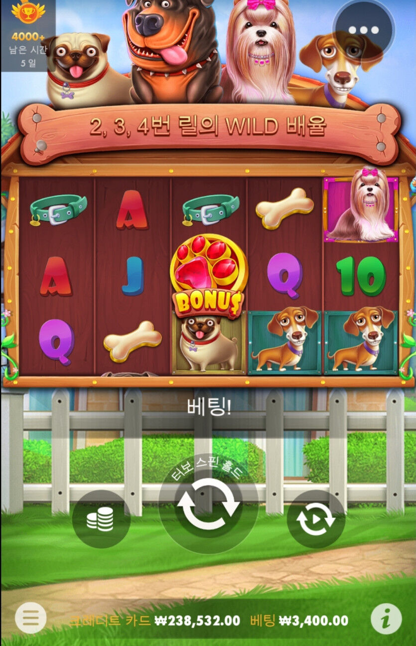 슬롯 후기(0)