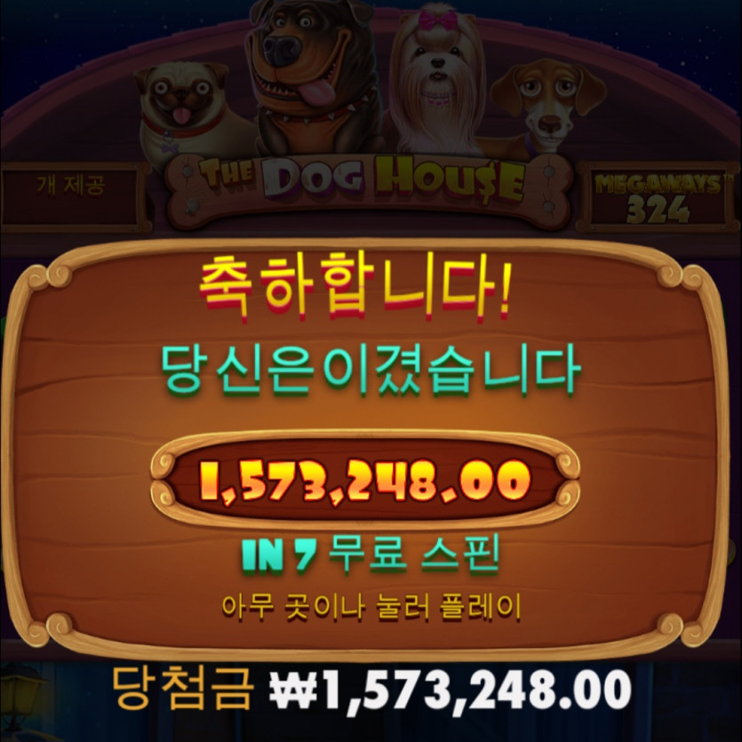 모닝개집(1)