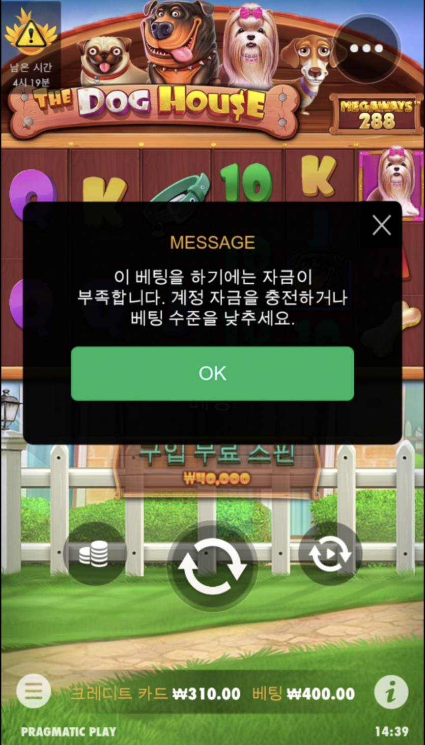 와 진짜 멍멍이 너무하네요....(0)