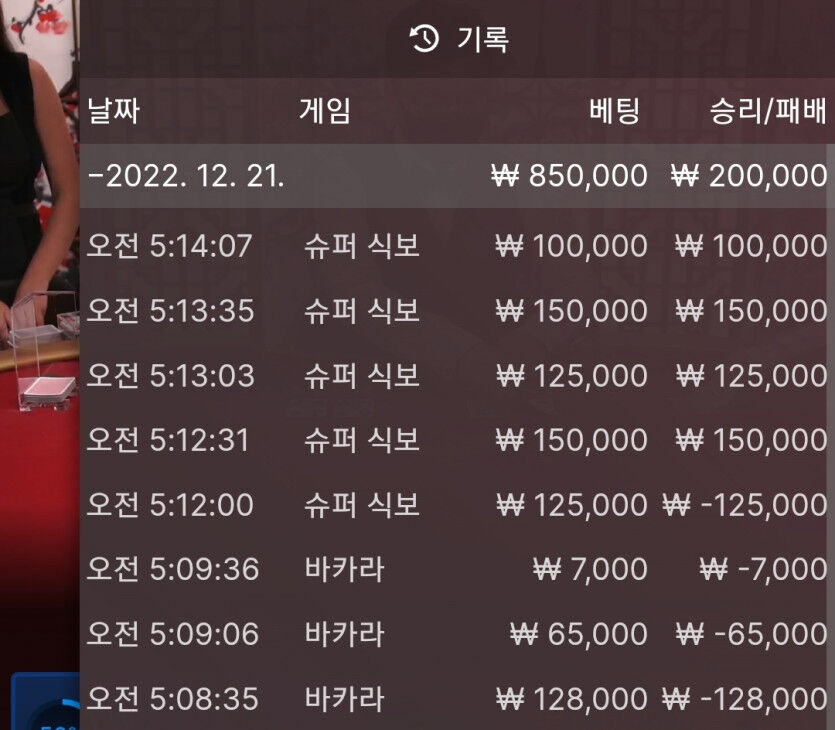 핑카 후기(0)