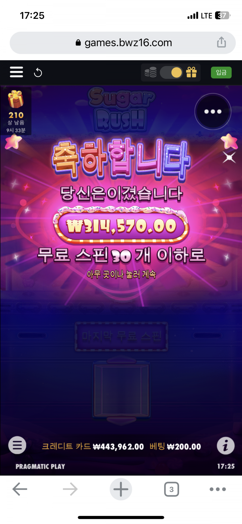벳위즈 슈가(0)