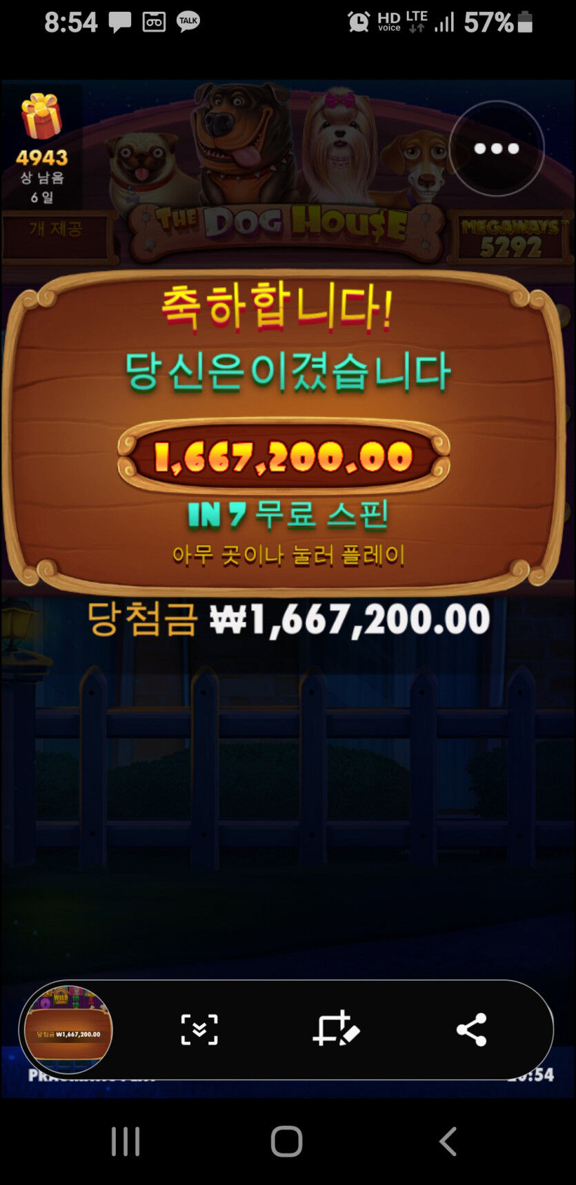 핑카 후기(0)