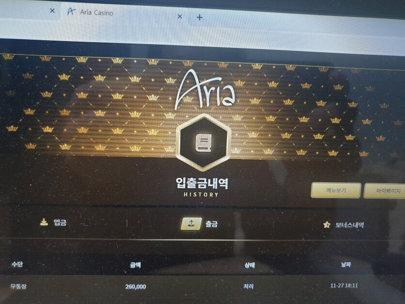 아리아노 슬롯후기.(1)