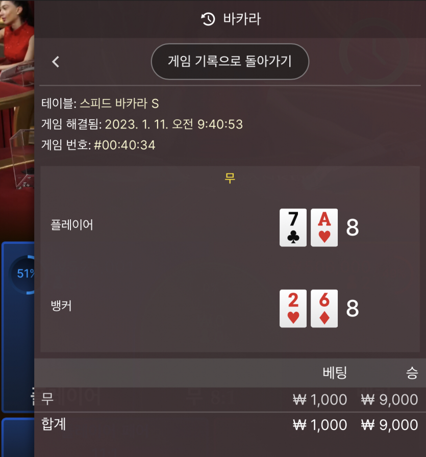 뱃위즈 에볼마틴 2차 후기(1)