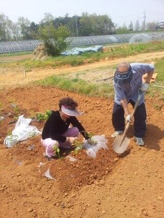 에볼후기(0)