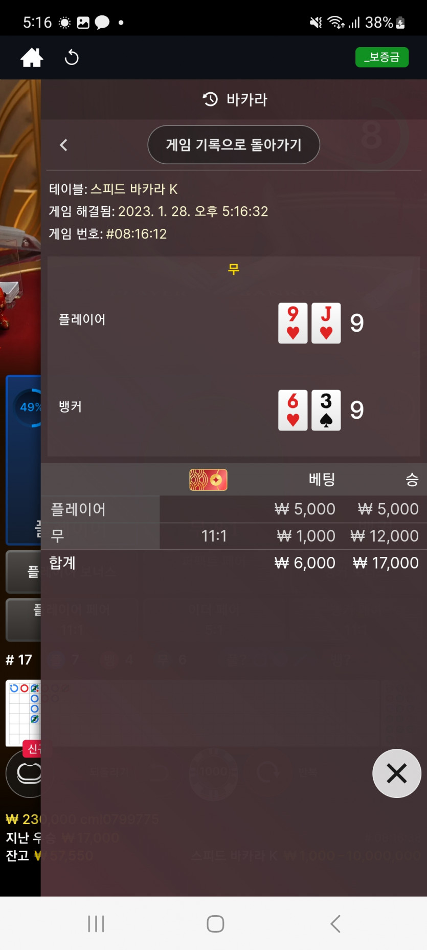 뱃위즈에볼(2)