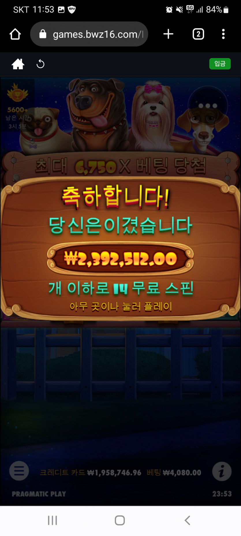 형님들 슬롯은 벳위즈에서(1)