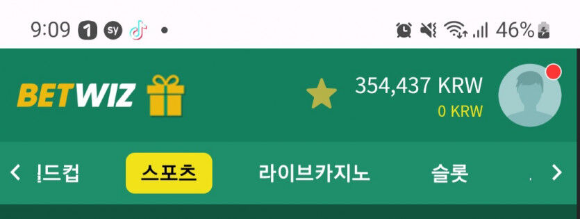 뱃위즈후기(4)