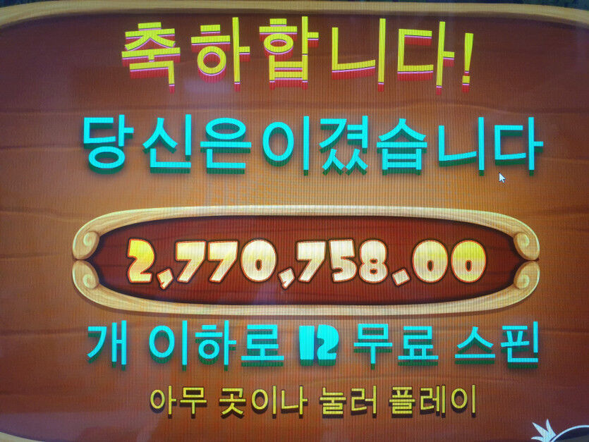 개집후기(0)