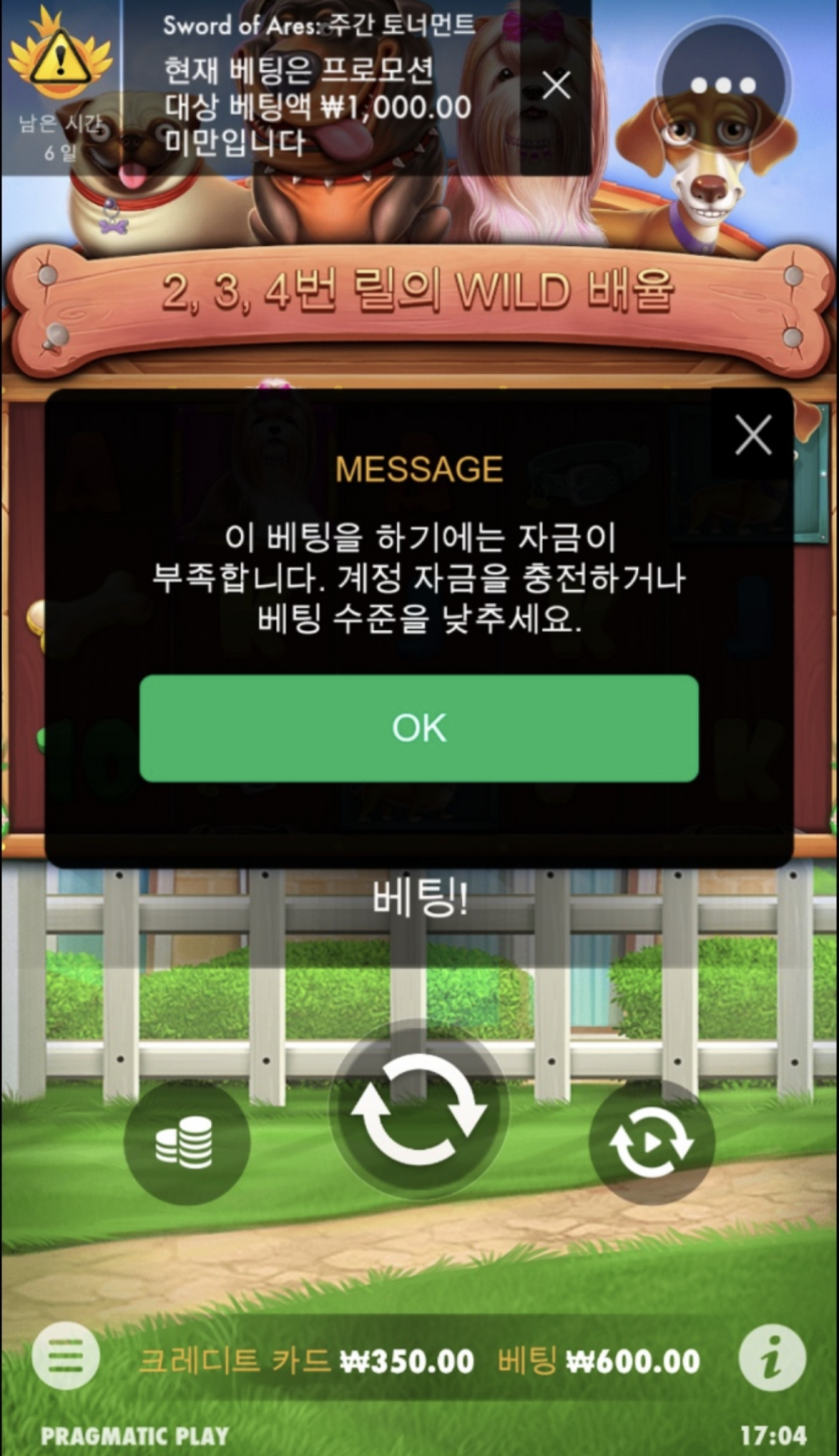 심각허네...개집.....(0)