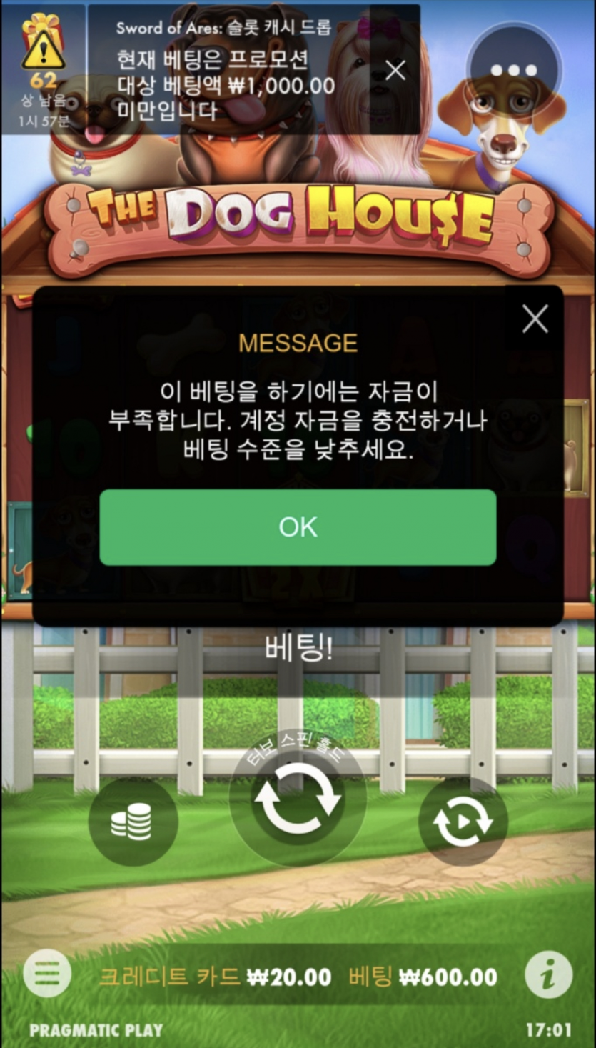 개집 후기(1)