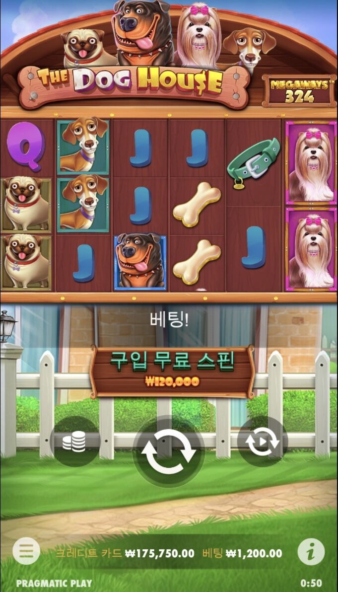 전 처음하는 슬롯에서 운이 맞나봐요.....(2)