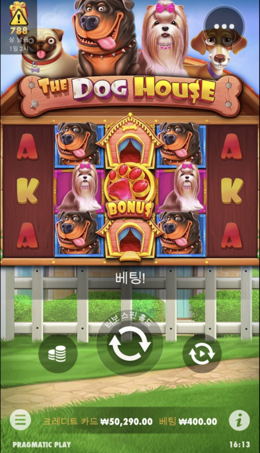 머리식힐겸 개집도전중....!(0)