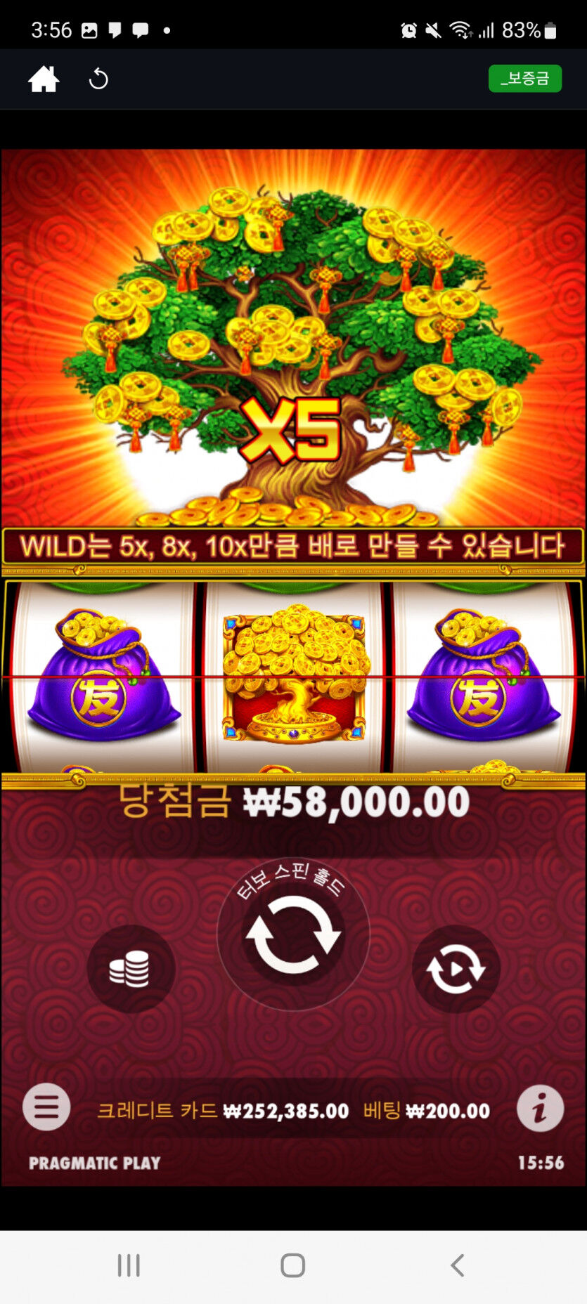 뱃위즈후기(1)