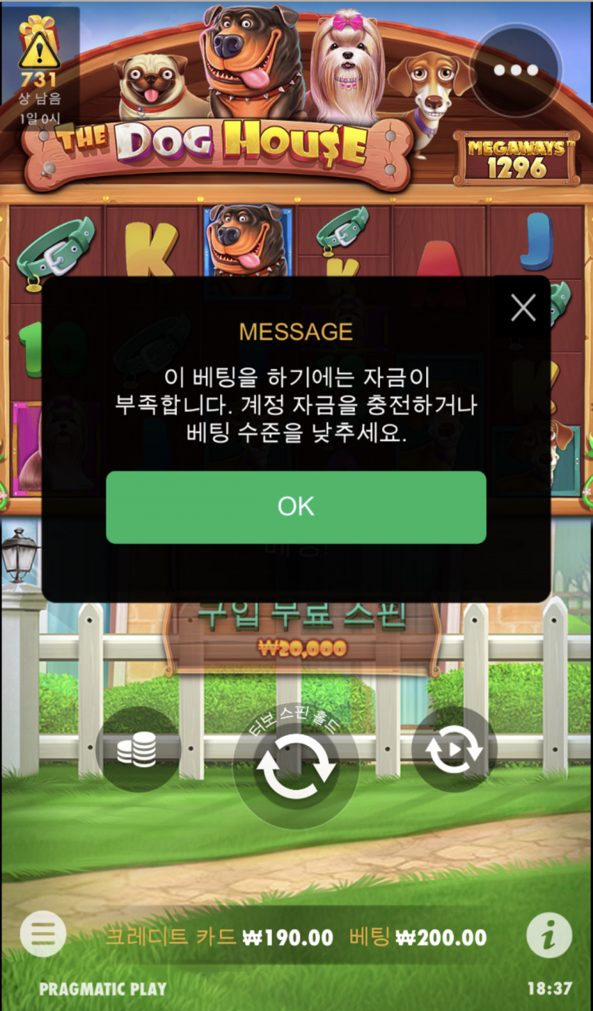 개집..어이가없네....(1)