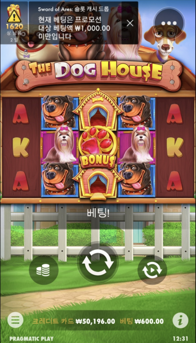 바카라 시작전 슬롯으로운세체크를ㅎㅎㅎㅎ(0)