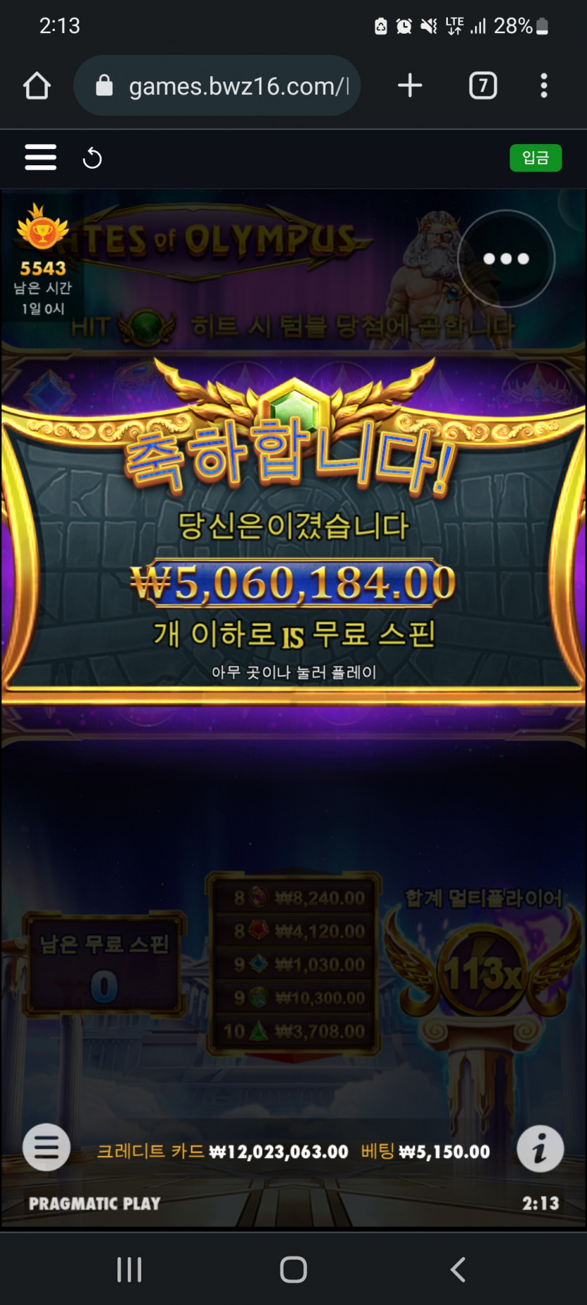 뱃위즈(1)