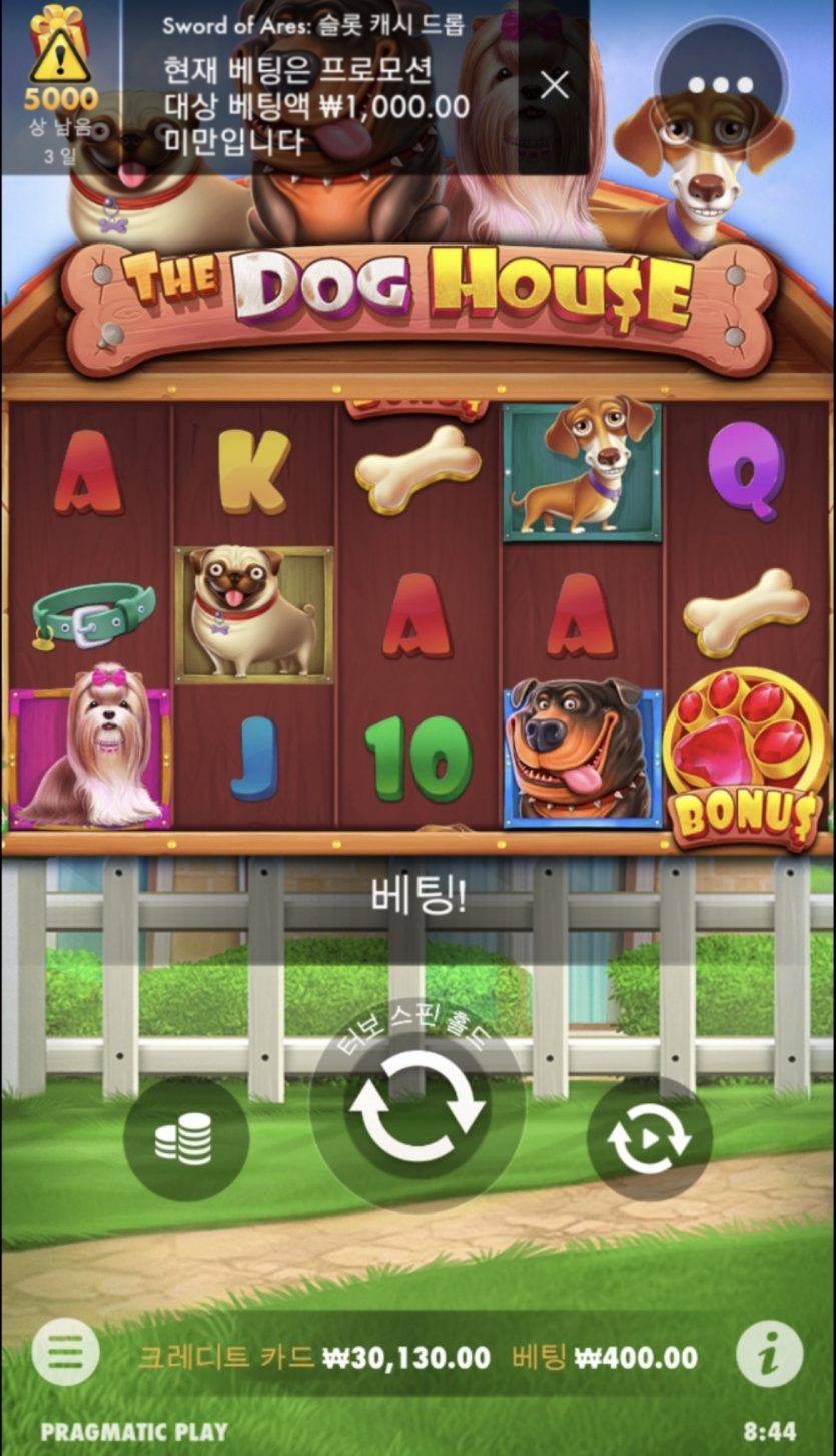 모닝 슬롯 도전!(0)