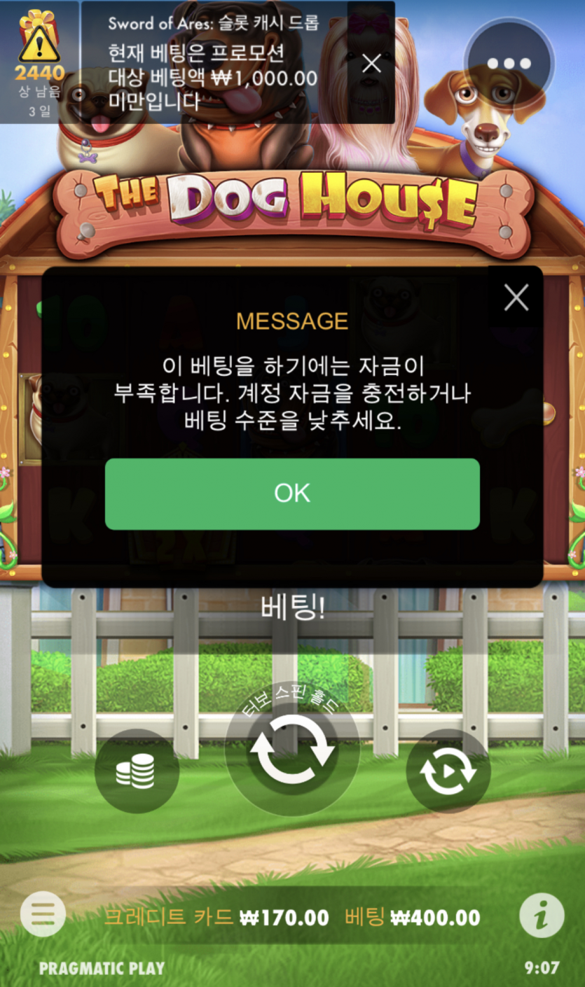 개집슬롯후기.....(0)
