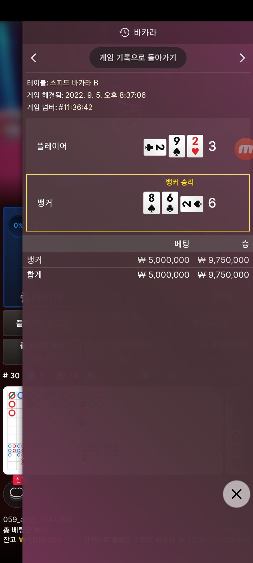 벳위즈굿(0)