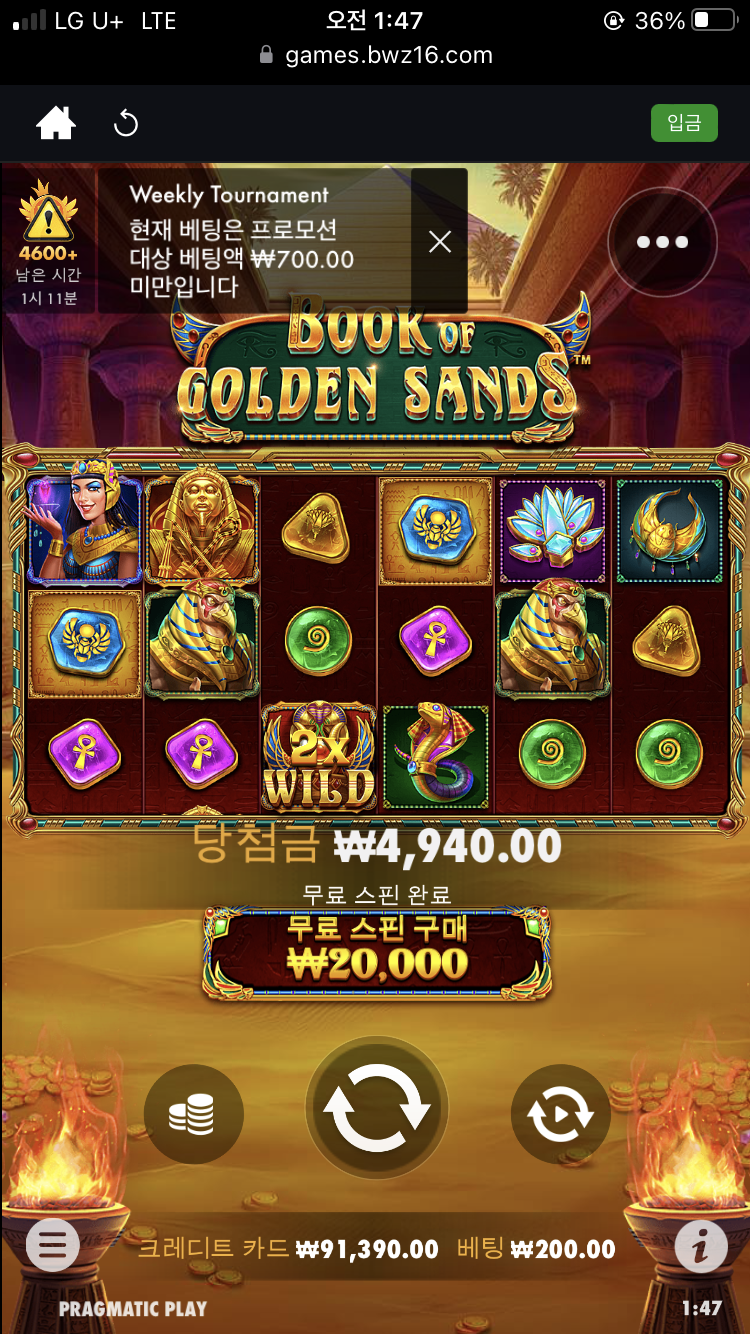 벳위즈 후기(0)