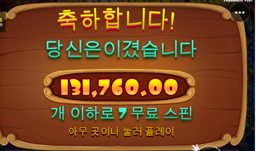 슬롯 후기(0)
