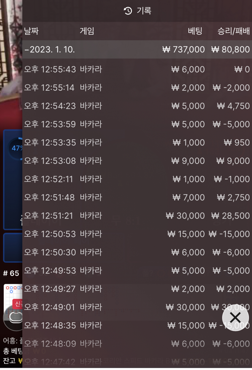 뱃위즈 에볼 마틴 후기(0)