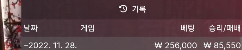 벳위즈 후기(0)