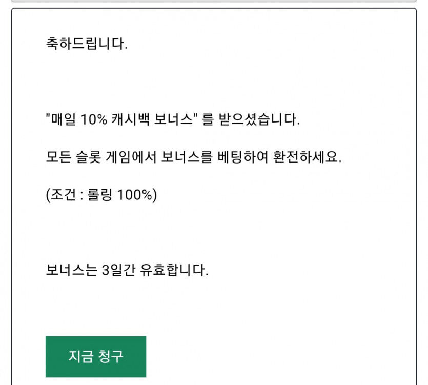 뱃위즈후기(1)