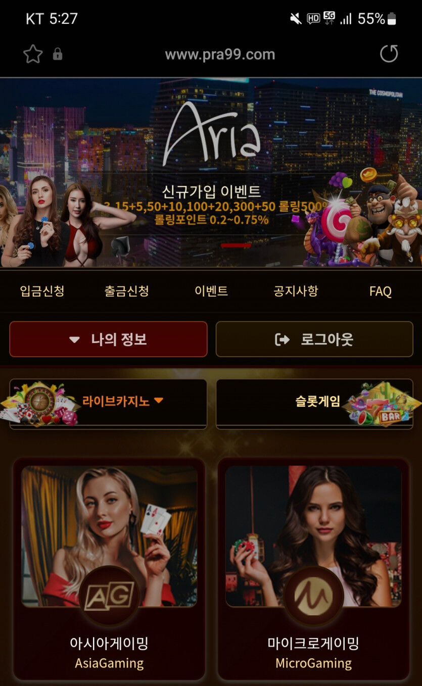 아리아카지노 쿱후기(0)