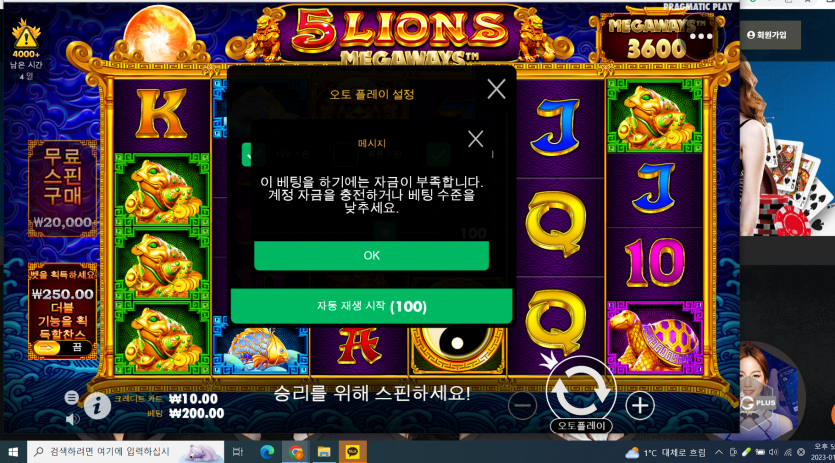 fm슬롯후기(0)